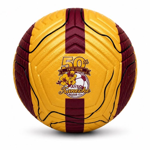 Custom ball for Kaneohe Region 113